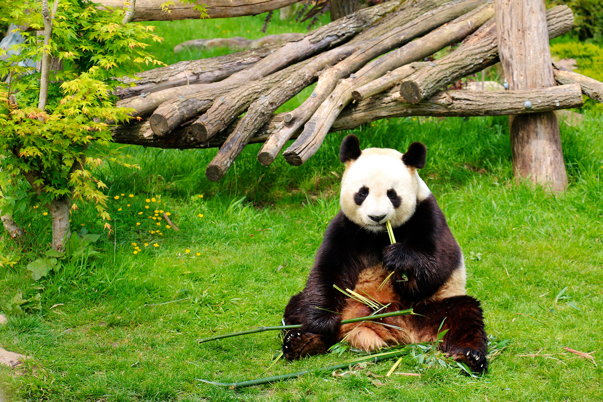 distance chateauroux zoo beauval