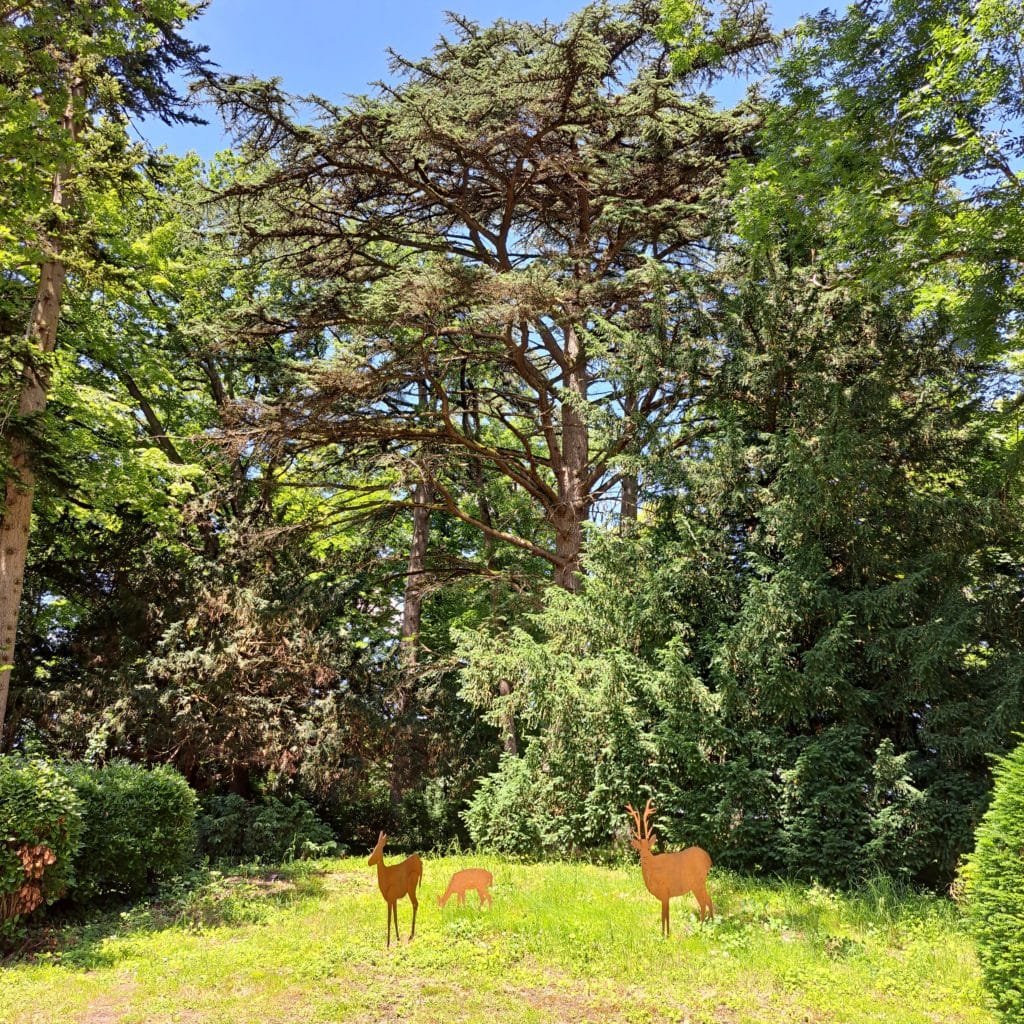 Forêt du Château de La Rolandière
